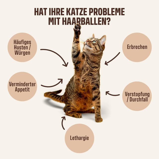 Detalle de ivvi Anti-Hairball Essenz für Katzen: Schlecksnack mit echtem Thunfisch gegen Haarballen (30 x 15 g)