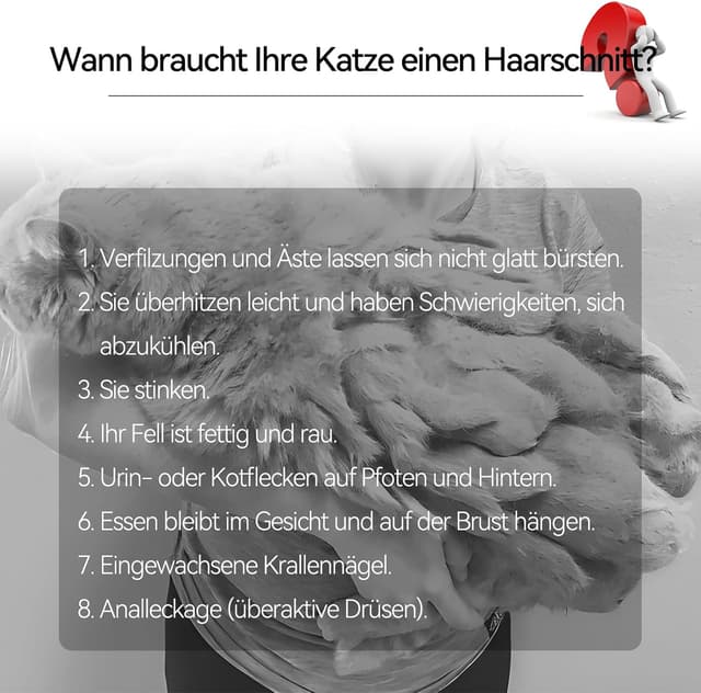 Thumbnail 6 de Bautrium Leise Schermaschine Katze Set USB‑C Aufladung