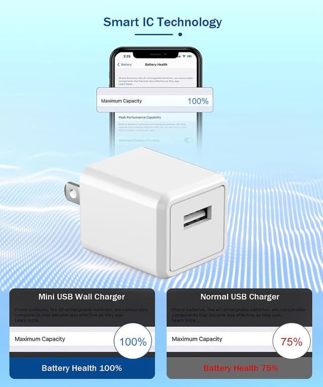 Detalle de iPhone Charger 6FT 2-Pack