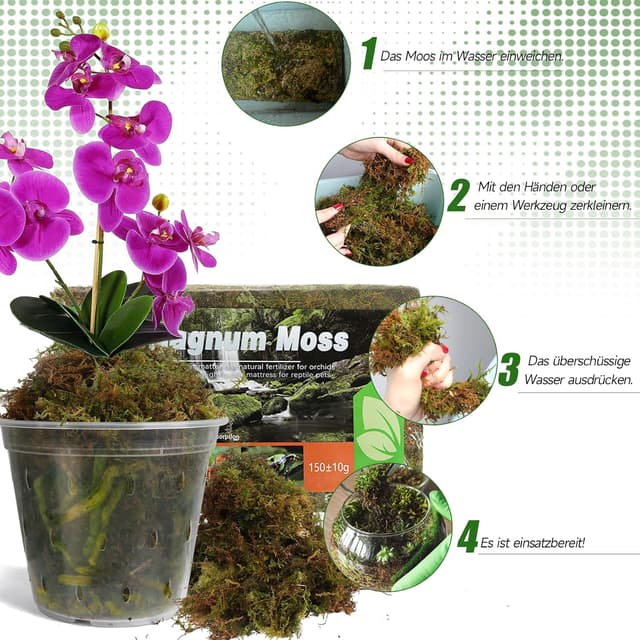 Detalle 2 de Sphagnum Moos 2er Pack für Pflanzen 10 L