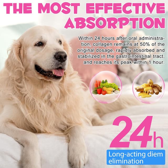 Thumbnail 4 de Collagène liquide pour chiens 100 ml