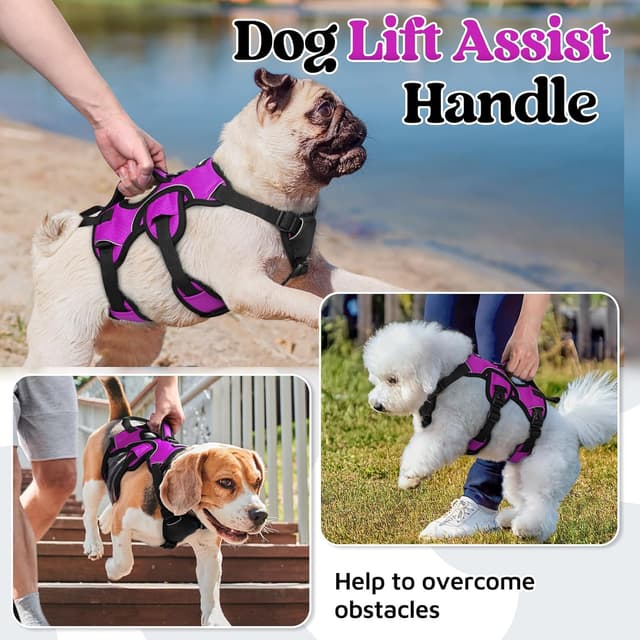 Detalle 2 de rabbitgoo Escape-Proof Dog Harness (Small, with Handle) – Adjustable, Reflective Vest-Style, Purple (S)