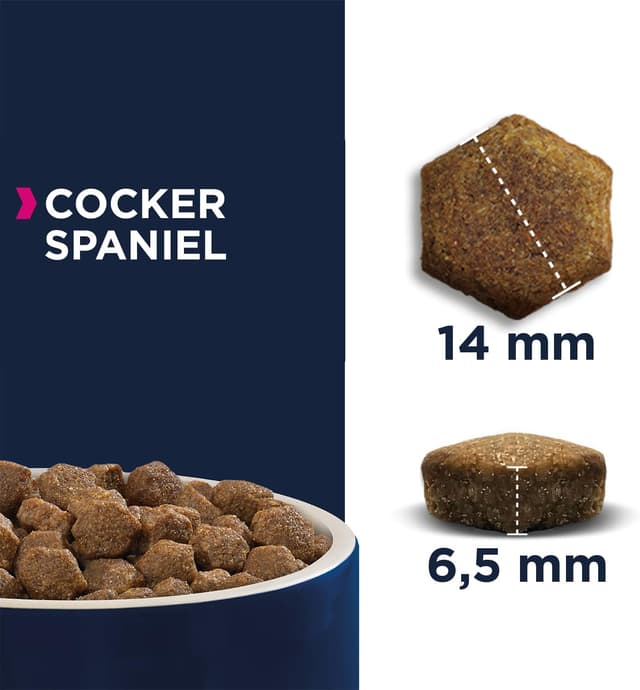 Detalle de Eukanuba Breed Specific Cocker Spaniel Adulti, alimento secco con prebióticos e DentaDefense, 7,5 kg