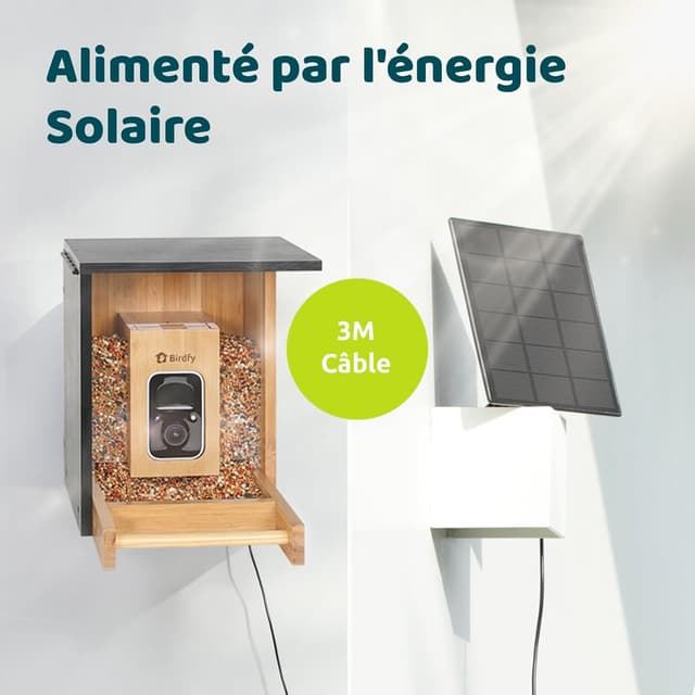 Thumbnail 6 de Netvue by Birdfy Mangeoire oiseaux 1,9 L