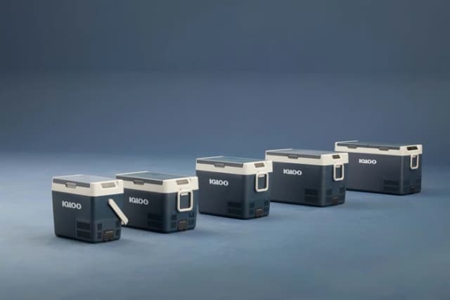 Detalle de Igloo ICF32 Kühlbox mit 32 l