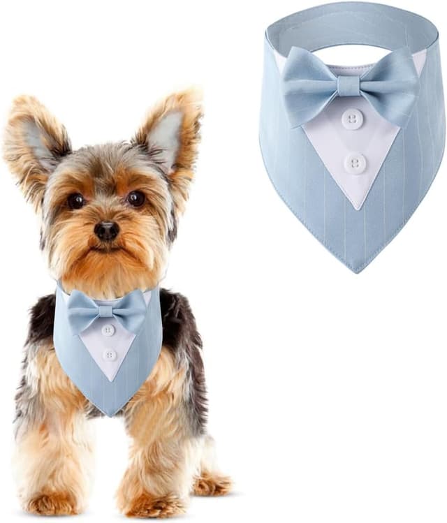 Detalle de BT Bear Pet Tuxedo Collar Bandana (Bow Tie) – Wedding outfit for cats, puppies and small dogs, Light Blue (M)