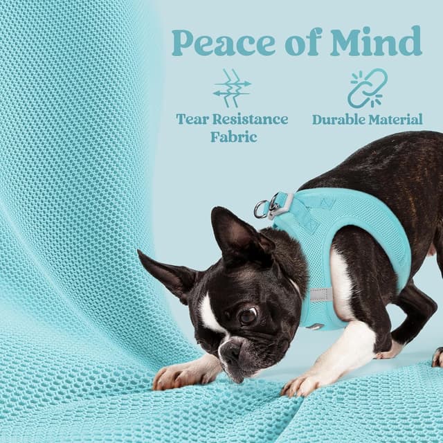 Detalle 2 de rabbitgoo Dog Harness Small Dog Step-in Soft Mesh Puppy Harness (Mint Blue, S)