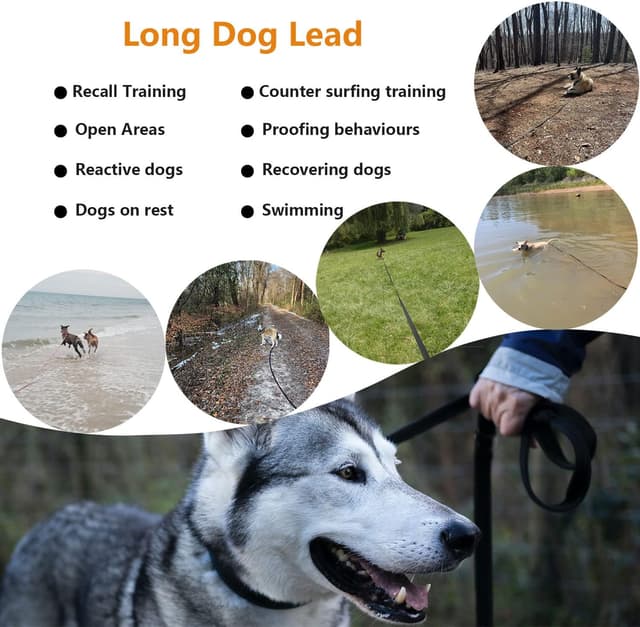 Thumbnail 4 de Petiry Training Lead 3m reflective long line leash