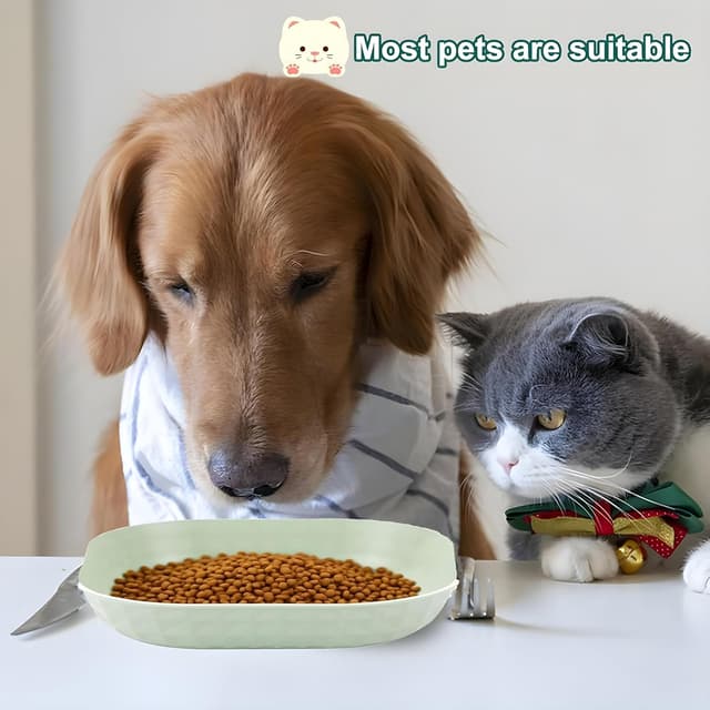 Thumbnail 5 de Katzennapf Flach 10 Stück