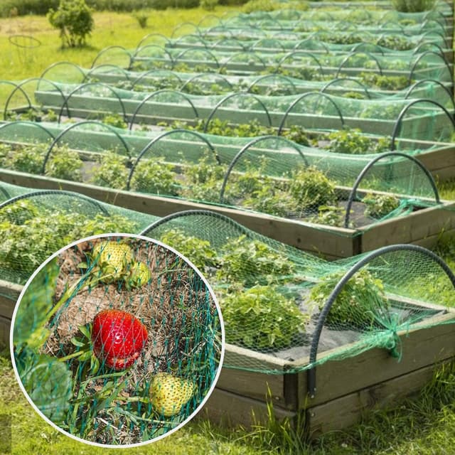 Detalle 2 de 4x6m Garden Netting Mesh – Bird Netting Kit with 20 Ground Pegs (11cm) for Veg Patches & Fruit