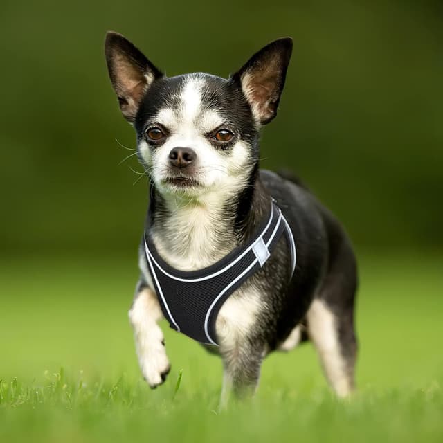 Detalle de HEELE Dog Harness Step-in Soft Mesh with Reflective Loop (Small to Puppies) – Black, L