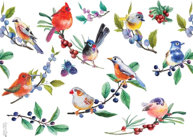 Detalle 2 de Tervis Watercolor Songbirds double-wall insulated tumbler, 24 oz, clear