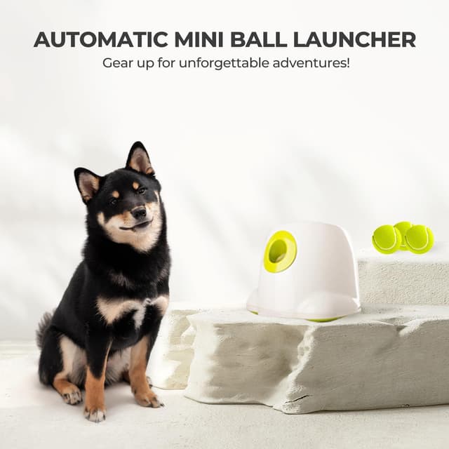 Thumbnail 6 de ALL FOR PAWS Automatic Dog Ball Launcher 2"