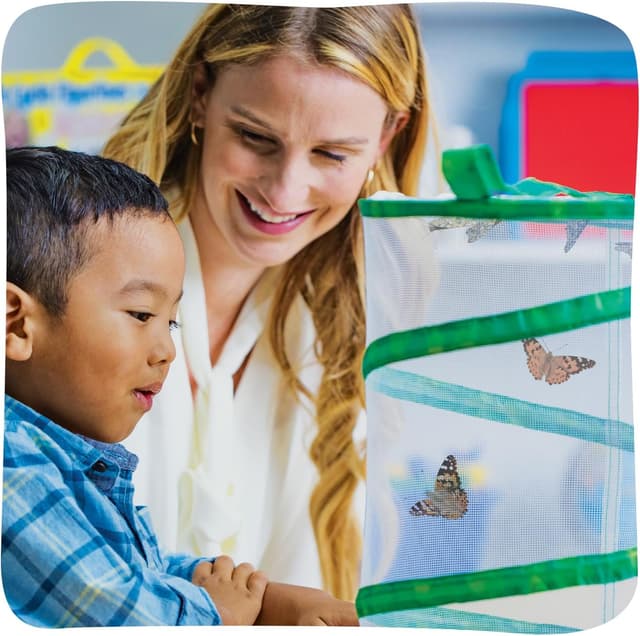Detalle de Insect Lore The Butterfly Garden kit for live butterflies (growing 5 caterpillars)
