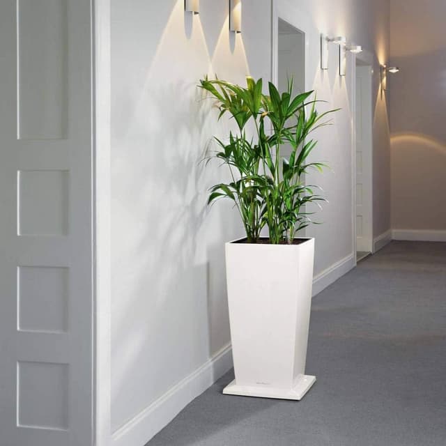 Thumbnail 1 de LECHUZA Base Rotolabile Cubico 30 bianca 13425