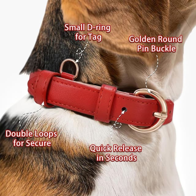 Thumbnail 2 de WHIPPY Leather Dog Collar 18.9in