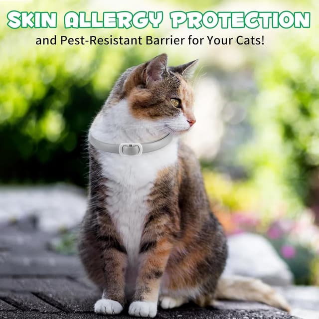 Thumbnail 3 de Collare Antipulci per Gatti 4 pezzi 24 mesi