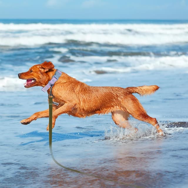 Detalle 1 de Wolfone Army Green 12m long line lead