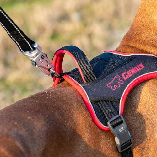 Detalle 1 de Ferplast Arnes Genius Medium reflectante transpirable con cierre magnético