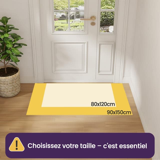 Detalle 2 de DEXI Paillasson intérieur 80 x 120 cm