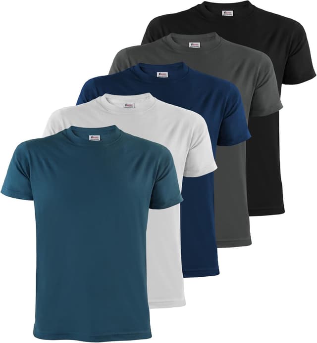 Imagen de ALPIDEX Magliette da Uomo Confezione 5 S-5XL en OfertitasTOP