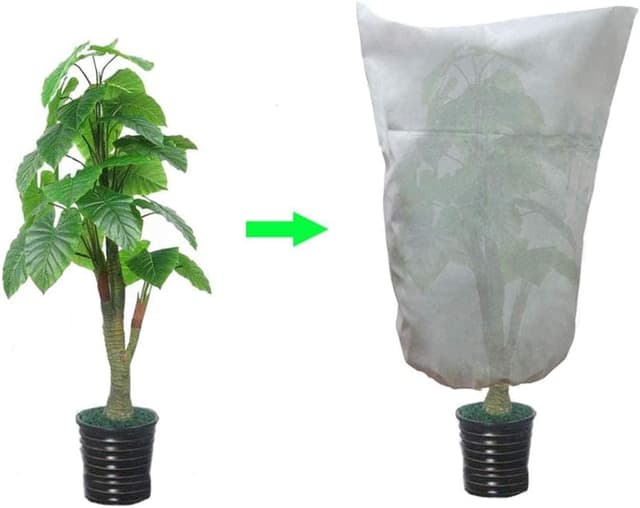 Thumbnail 6 de Lot de 2 voiles hivernage pour plantes