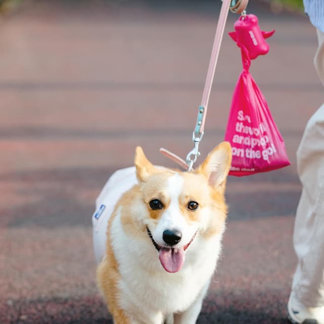 Thumbnail 6 de Deo Doo Dog Pooop Bags 108-count, Rose Scented