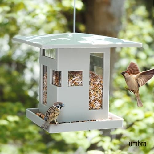 Detalle 2 de Umbra Mangeoire pour oiseaux gris ⚙