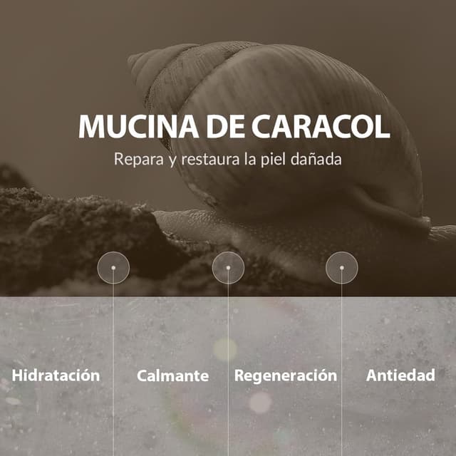 Thumbnail 2 de MIZON Tónico Facial Snail Repair 100 ml