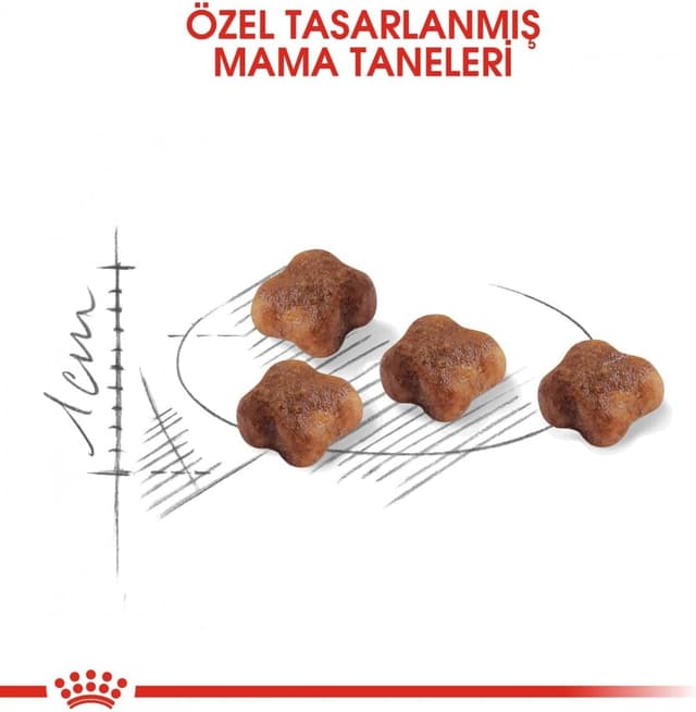 Detalle 2 de ROYAL CANIN Babycat 34 (1) – RC Babycat 34, 4-kg-Trockenfutter für Katzen bis zu 4 Monaten