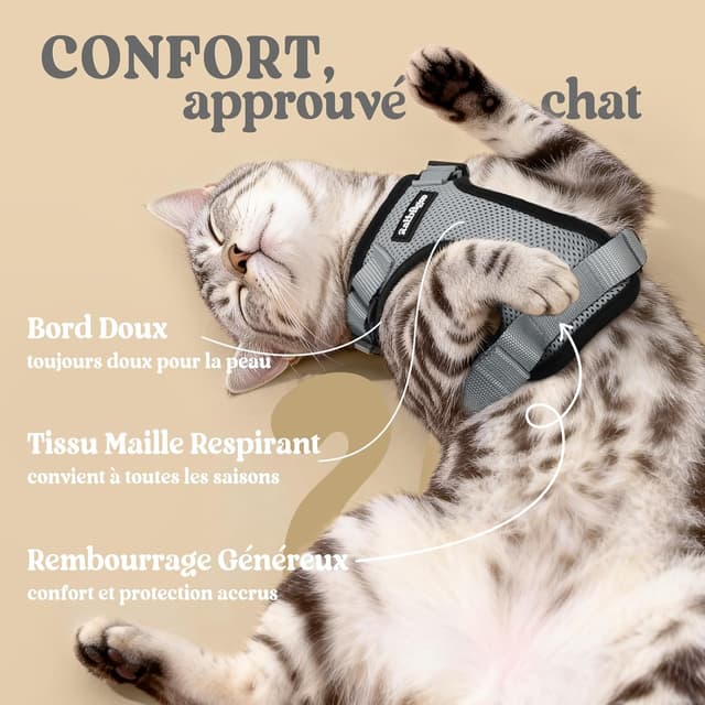 Detalle 2 de rabbitgoo Harnais Chat XS rĂ©glable 34,3 cm đŸ