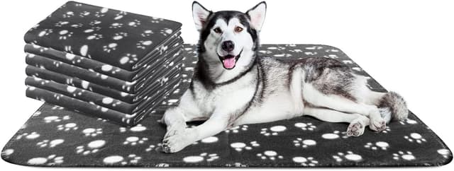 Detalle de Nobleza morbida coperta in pile per cani e gatti, 6 pezzi (Nero) 160 x 100 cm