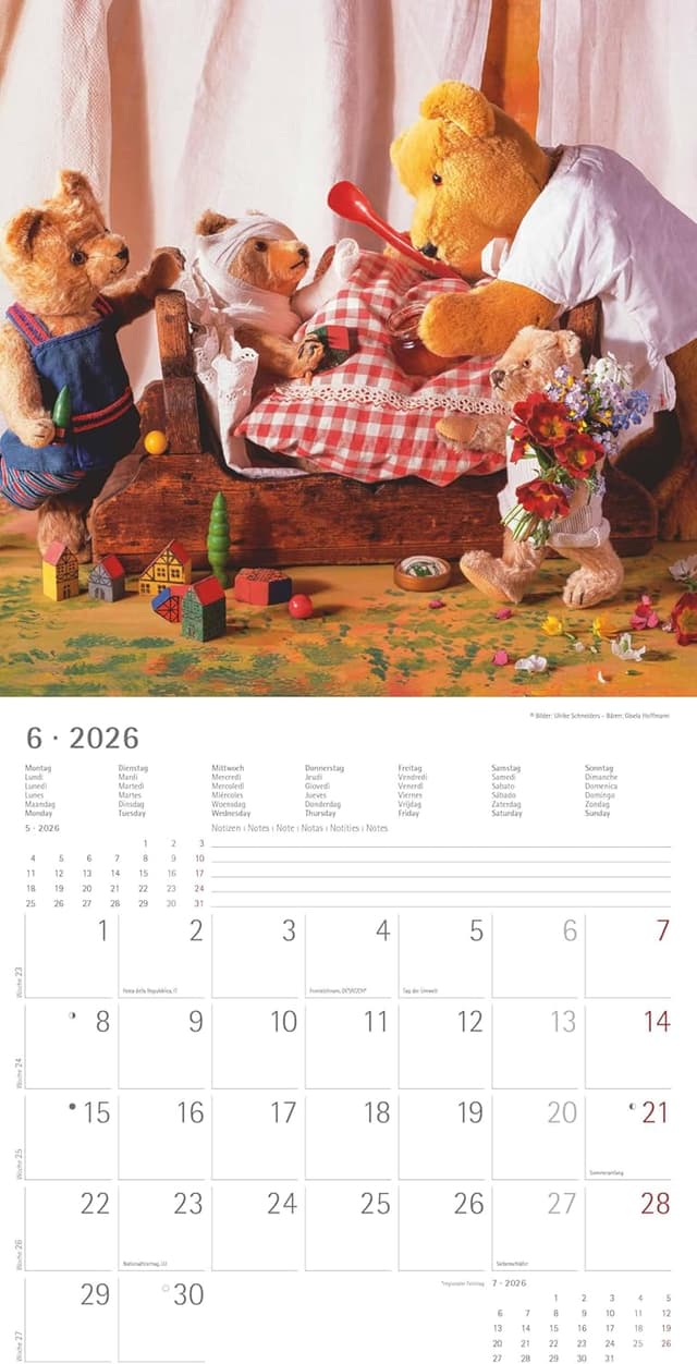 Thumbnail 5 de Alpha Edition Teddy Kalender 2026 30×30 cm