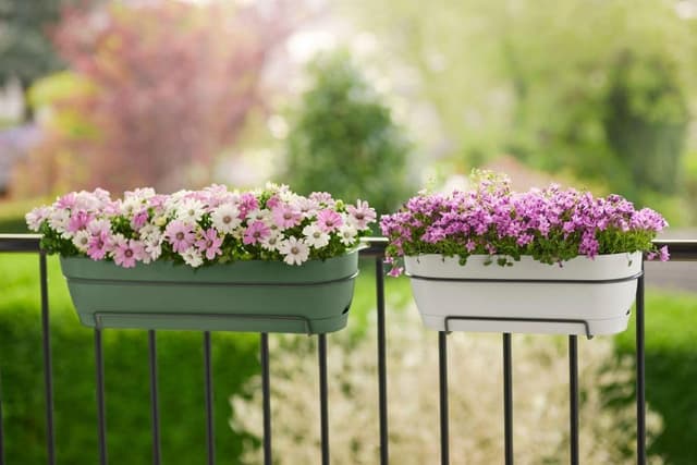 Thumbnail 8 de Elho Vibia Campana Trough Allin1 50 - Jardinera Balcón