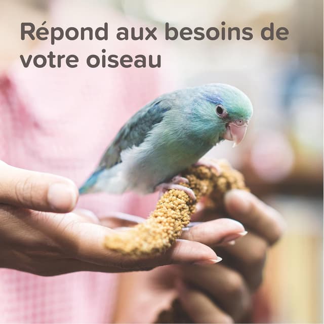 Thumbnail 4 de Beaphar XtraVital Sittiche 500 g 🐦