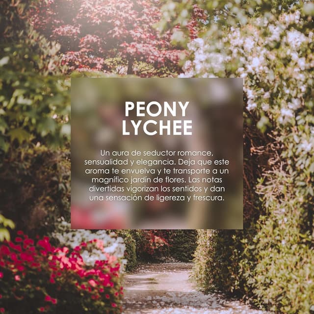 Thumbnail 5 de Jean & Len Manteca Corporal Hidratante Peonía y Litchi