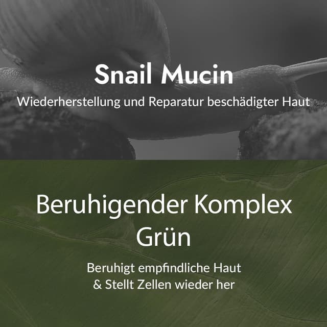 Detalle de MIZON SNAIL ALL IN ONE REPAIR CREAM 75ml