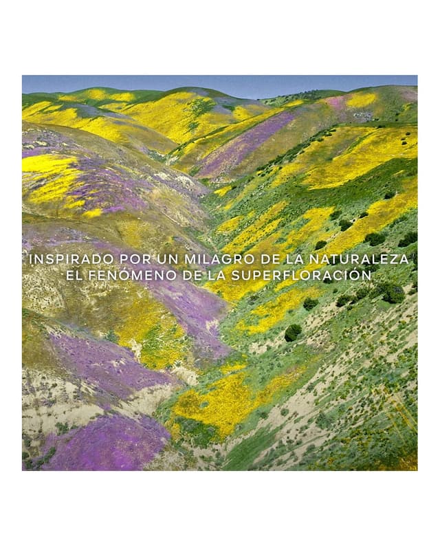 Thumbnail 4 de Guerlain Aqua Allegoria Florabloom Refill 200 ml Eau de Parfum