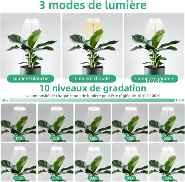 Thumbnail 2 de Mcbazel Lampe Plante 61,5 cm