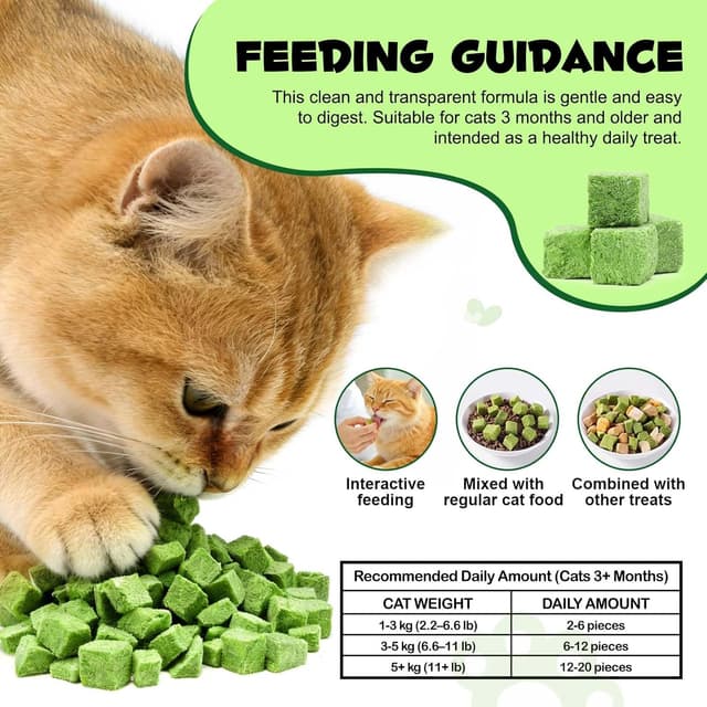 Thumbnail 6 de Katzengras Snacks für innen mit Huhn & Fischöl (80 g, gefriergetrocknet) – für Verdauung, Haarballen & frischen Atem