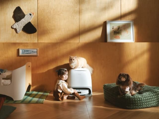 Thumbnail 7 de Roborock Qrevo Curv 2 ProX – 4 cm‑Höhe 🤖