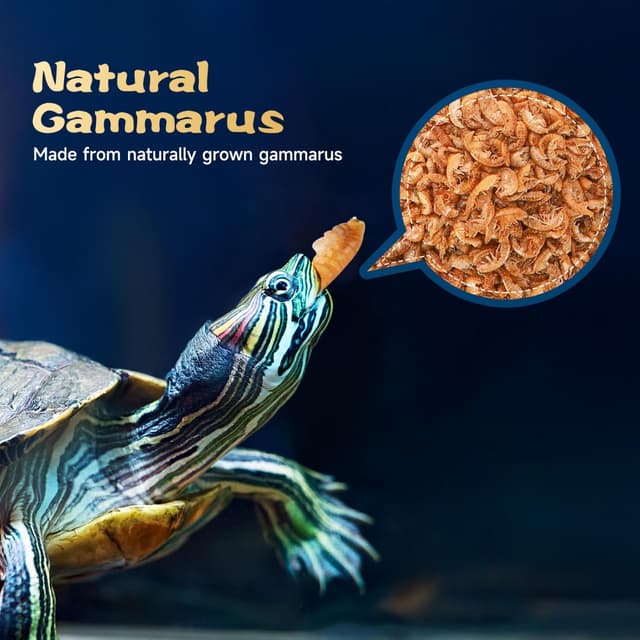 Thumbnail 2 de Nobleza Nourriture Tortues 160g đą