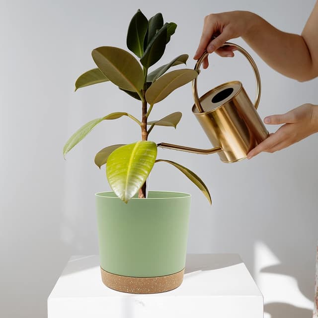 Detalle de QCQHDU 16.5cm Plant Pot (2-Pack) with Drainage Holes & Saucer, Green