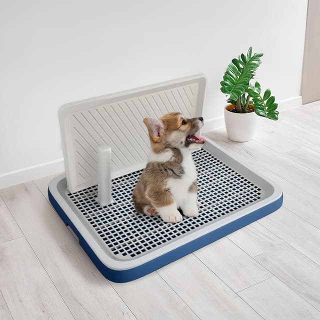 Detalle de Pawise dog potty training tray 50 x 39 cm