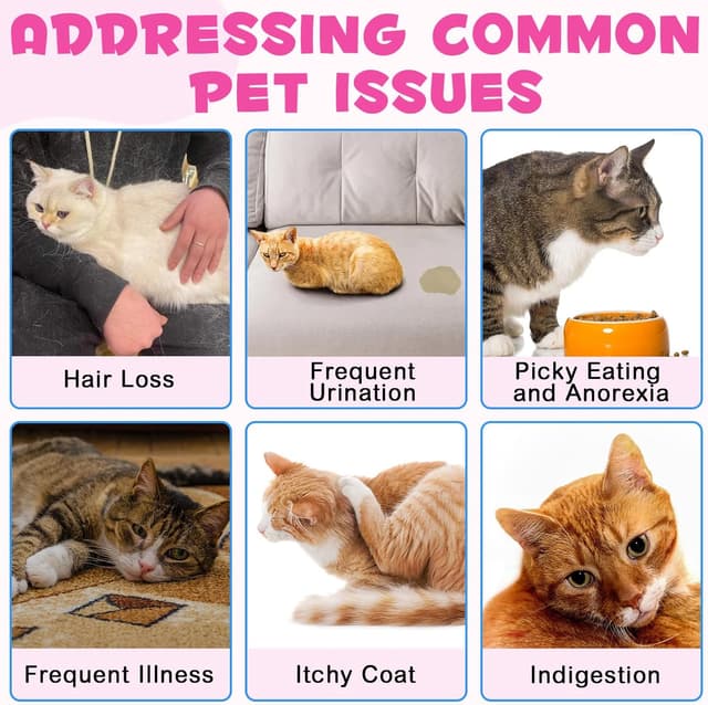 Thumbnail 3 de Kollagen suplemento colágeno para gatos 🐾