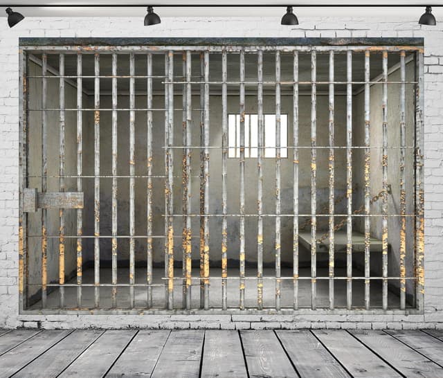 Detalle de BELECO 1.5 x 1m Fabric Prison Bars Backdrop (Jail/Mugshot crime theme photo background)