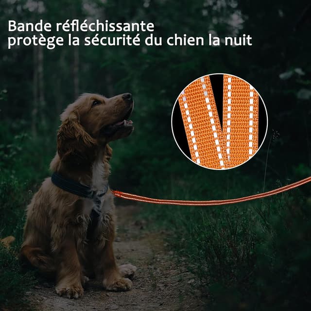 Detalle de COMSLE Long Leads for Dog Training extra long nylon dog leash (3m–20m) with rotating buckle handle