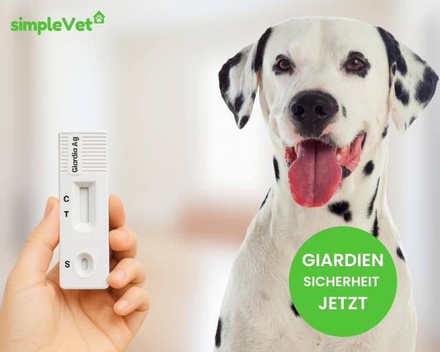 Thumbnail 6 de simple Vet Giardien Schnelltest 2 Tests