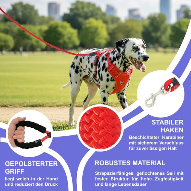 Detalle de Reichstadt Pets Guinzaglio in nylon morbido con impugnatura in EVA e moschettone girevole, riflettente, 1,5 m (25RSP084) – Rosso