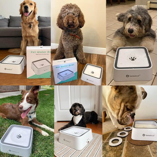 Detalle 2 de LumoLeaf Dog Water Bowl (70oz/2L) – non-spill slow-feeder with replacement filter for travel